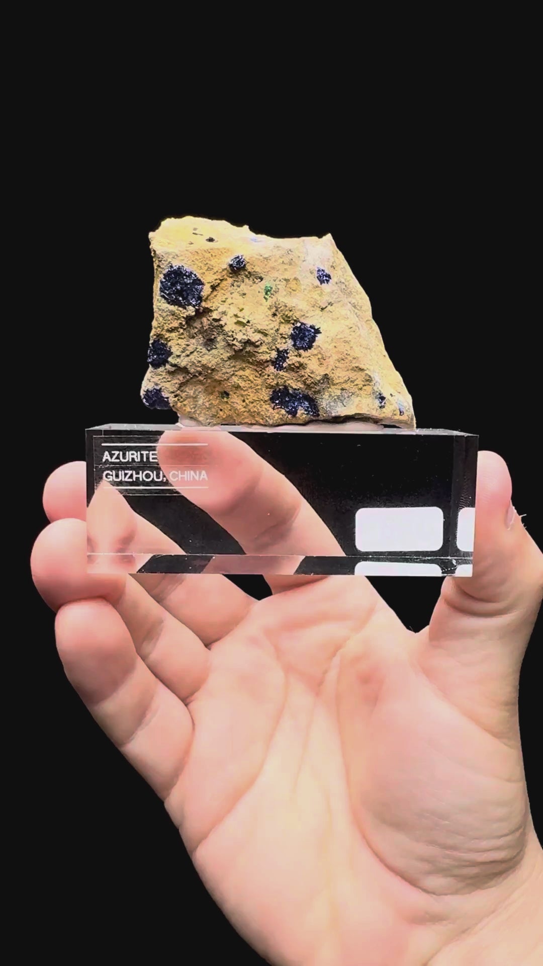 Specimen rotation video 456