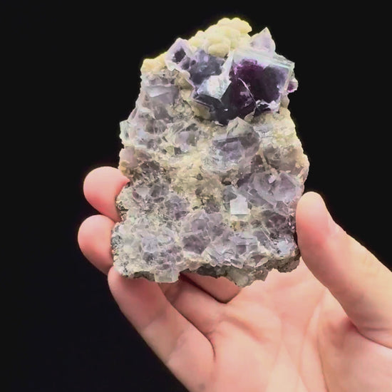 Specimen rotation video 587