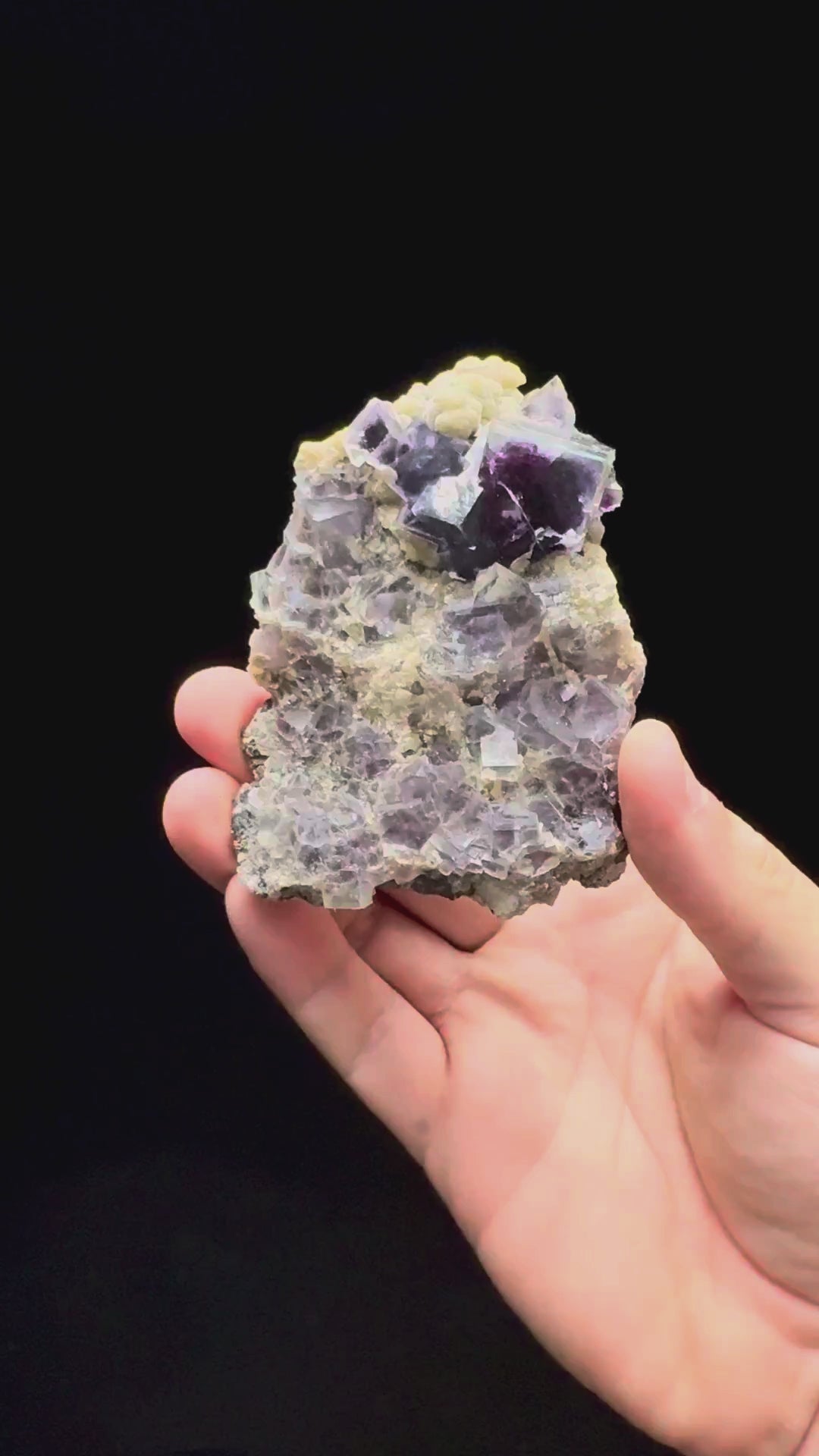 Specimen rotation video 587