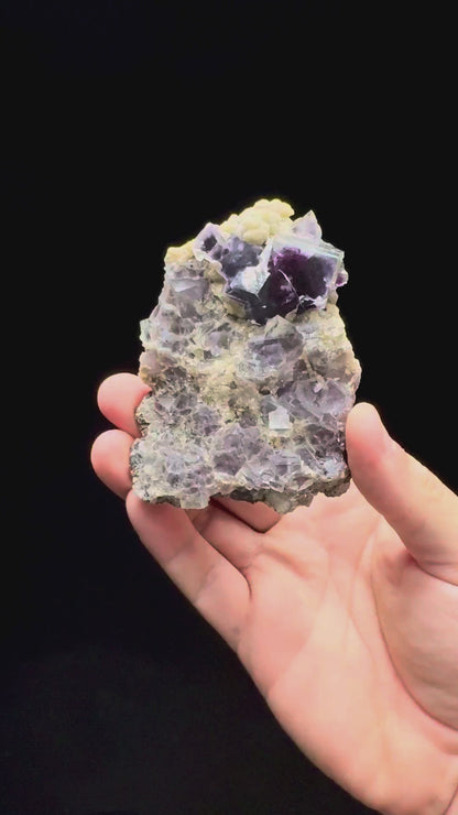 Specimen rotation video 587