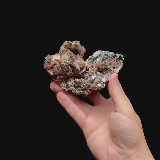 Specimen rotation video 0424
