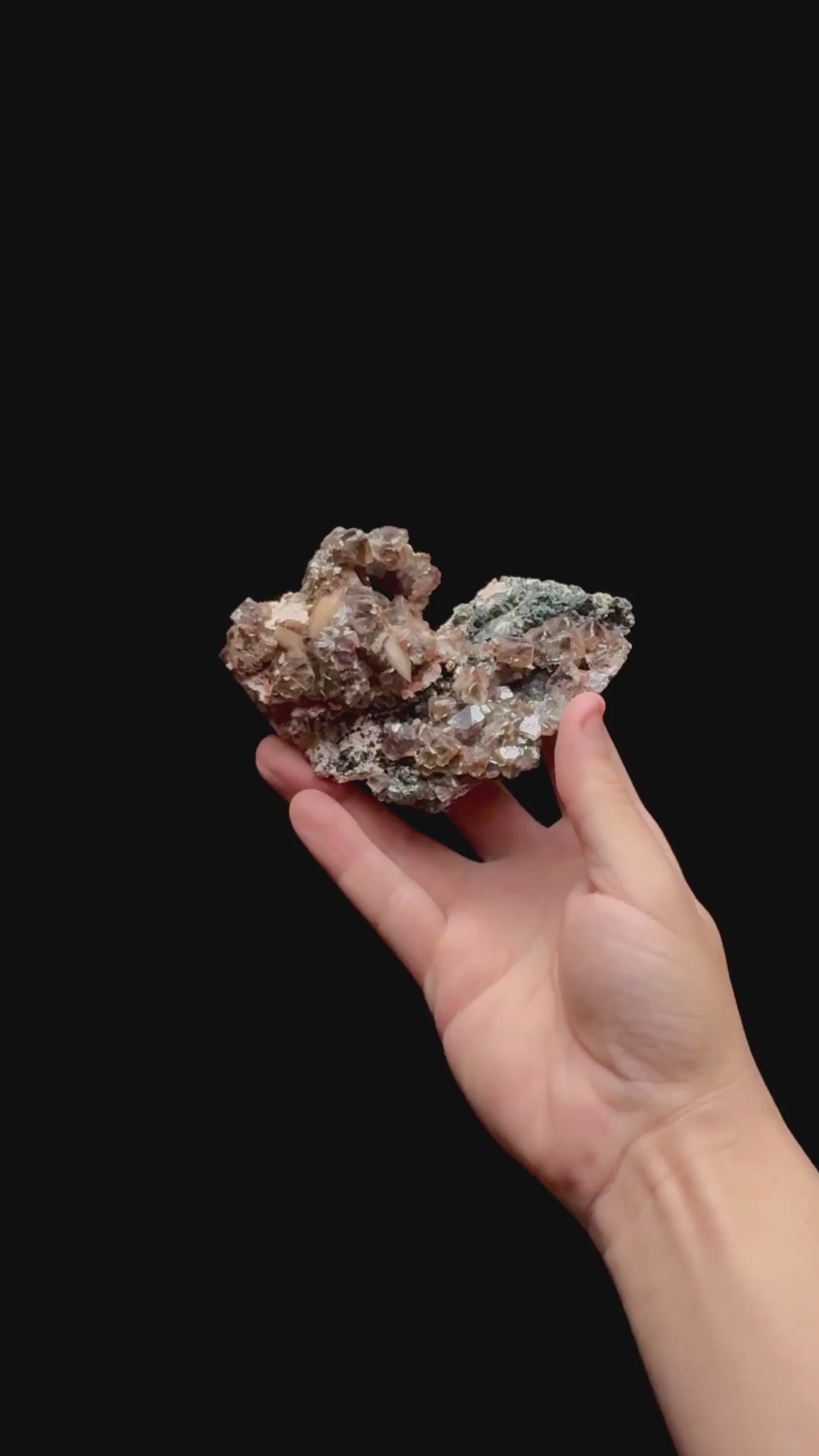 Specimen rotation video 0424