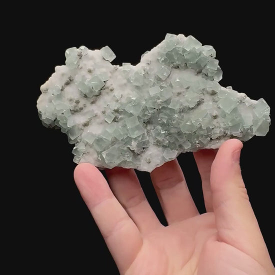 Specimen rotation video 066