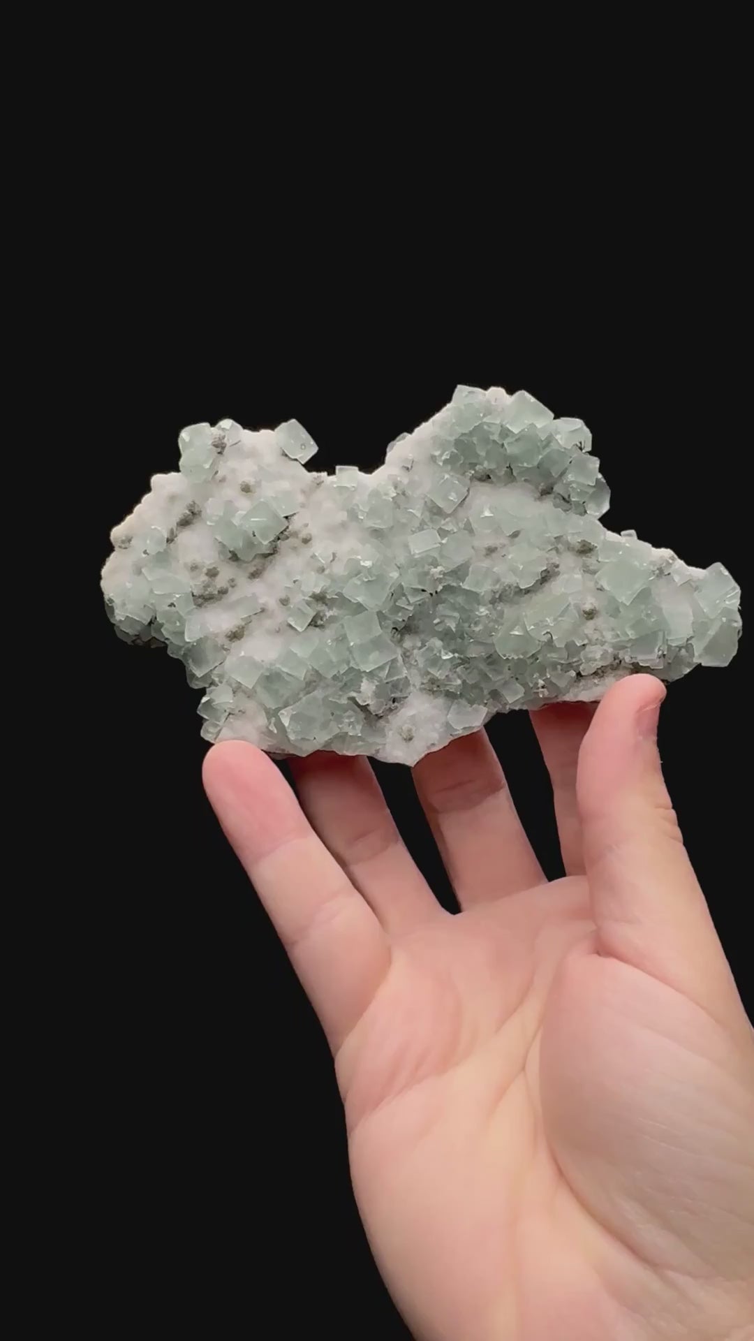 Specimen rotation video 066