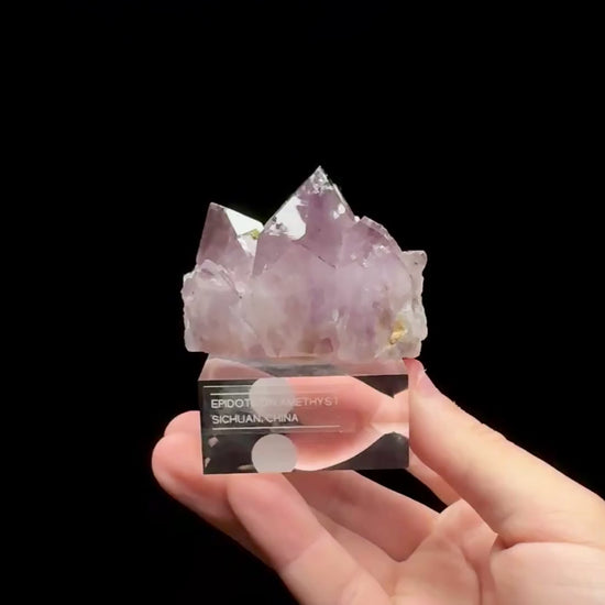 Specimen rotation video 0657