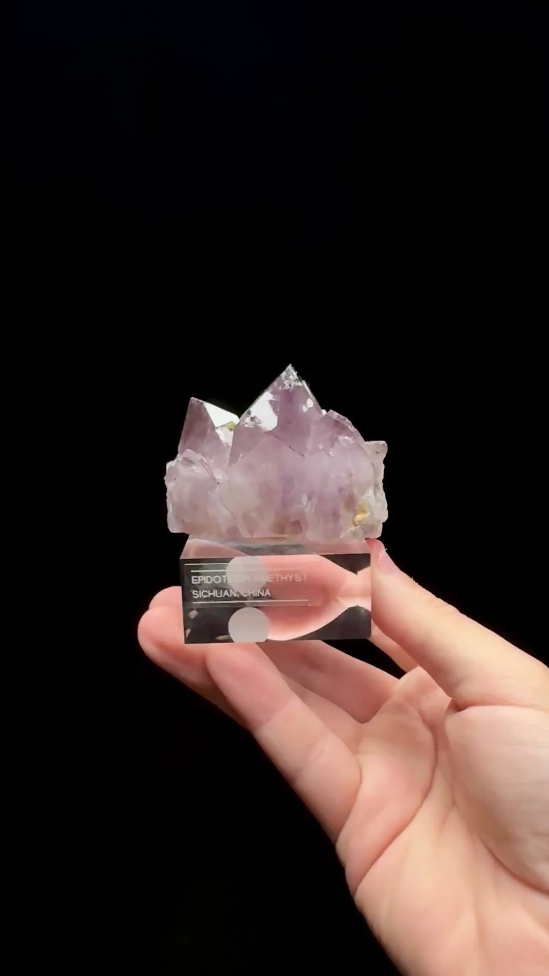 Specimen rotation video 0657
