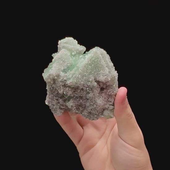Specimen rotation video 0300