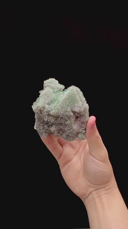 Specimen rotation video 0300