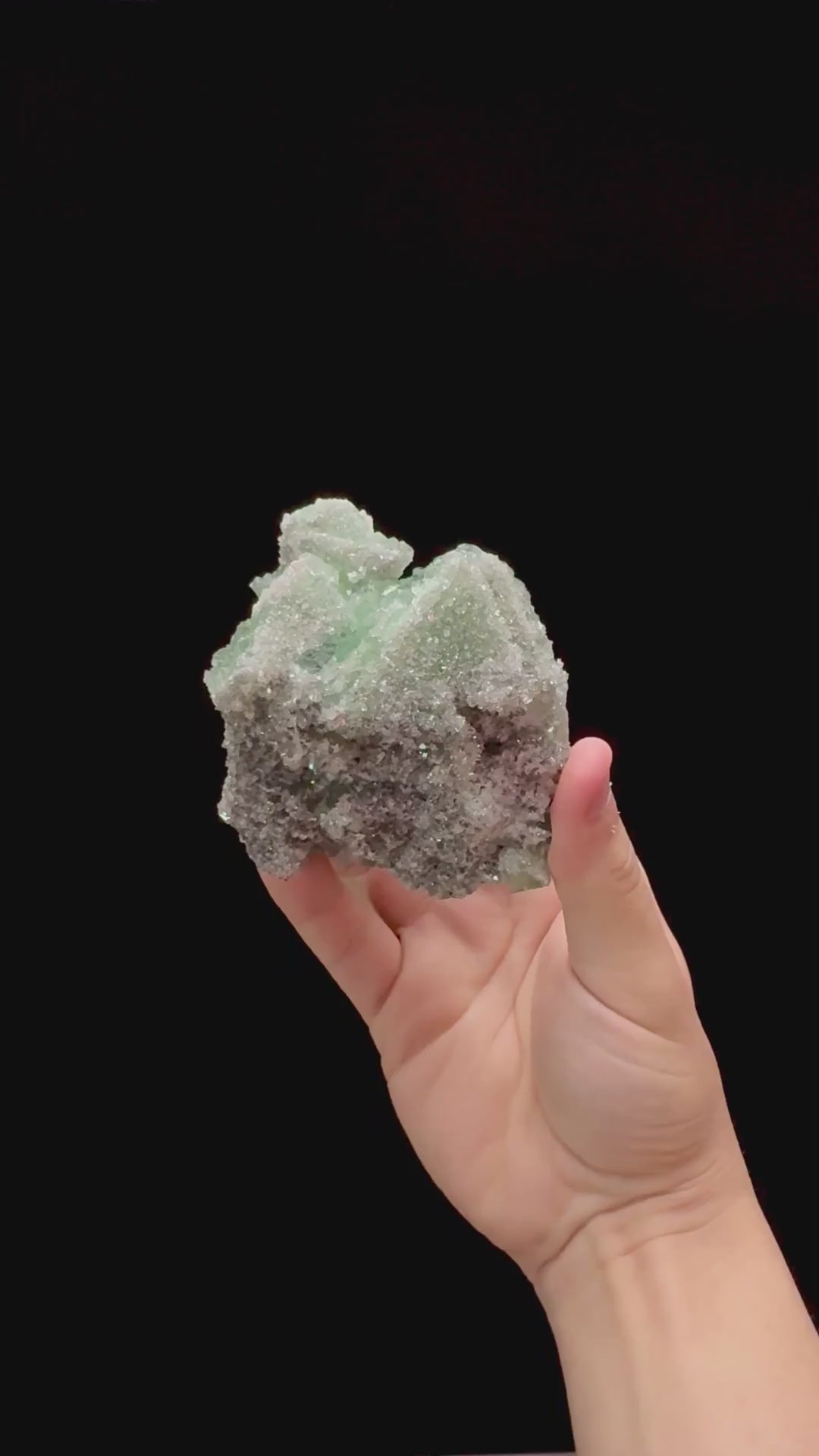 Specimen rotation video 0300