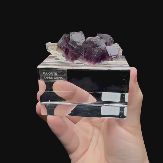 Specimen rotation video 0283
