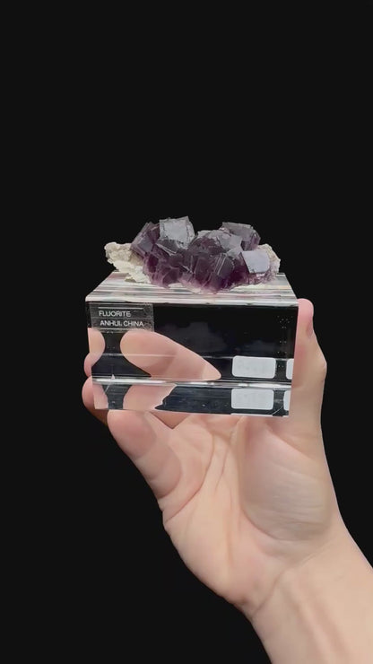 Specimen rotation video 0283