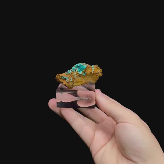 Specimen rotation video 0502