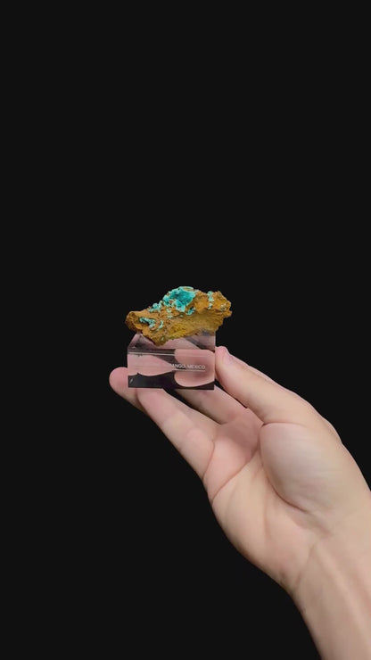 Specimen rotation video 0502