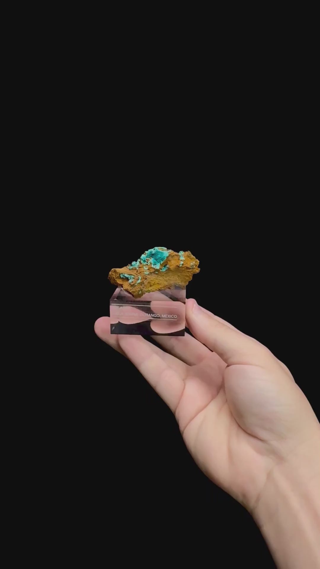 Specimen rotation video 0502