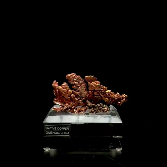 Specimen rotation video 0750