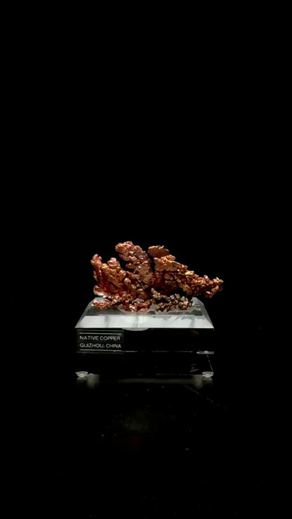 Specimen rotation video 0750