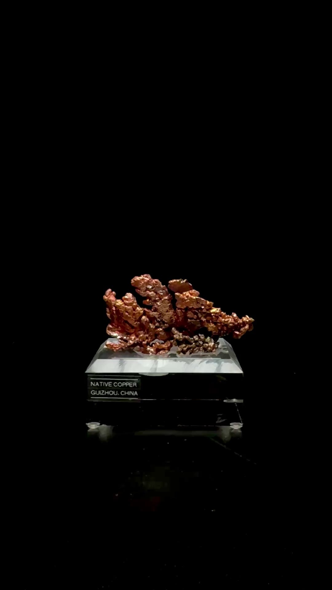 Specimen rotation video 0750