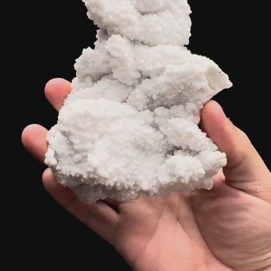 Specimen rotation video 479