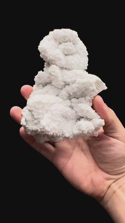 Specimen rotation video 479