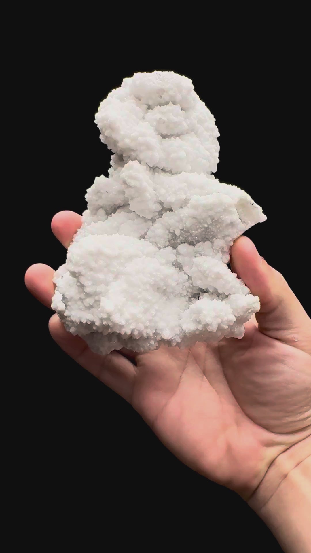 Specimen rotation video 479