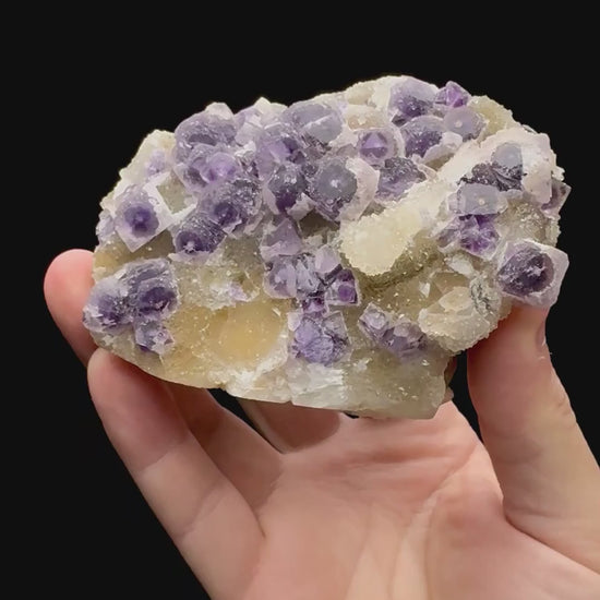 Specimen rotation video 076