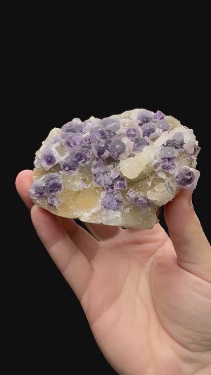 Specimen rotation video 076