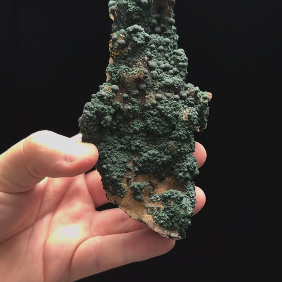 Specimen rotation video 149