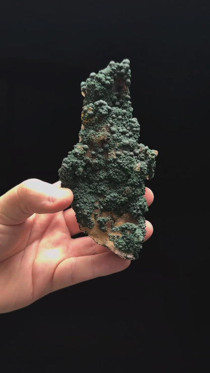 Specimen rotation video 149