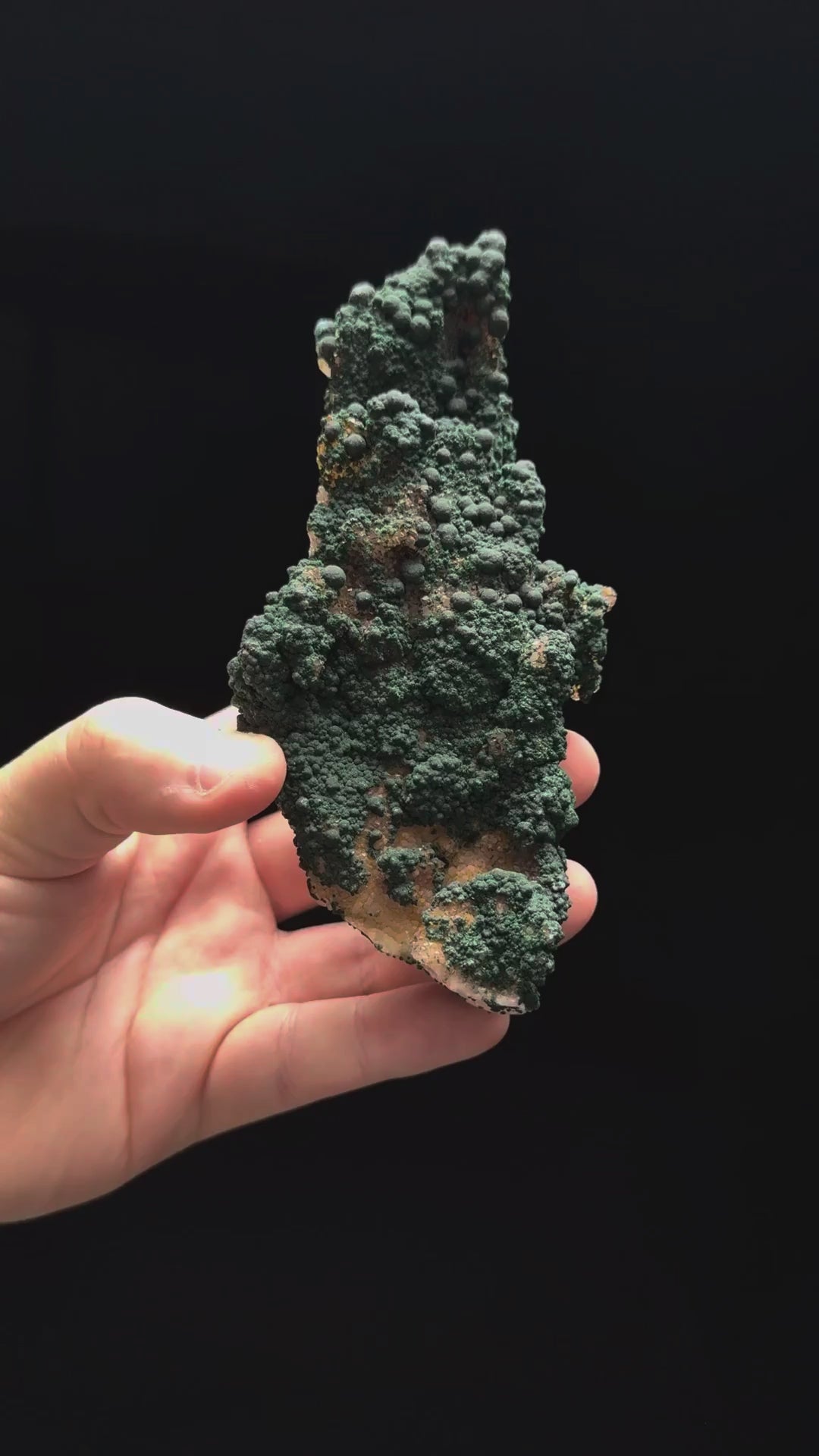 Specimen rotation video 149