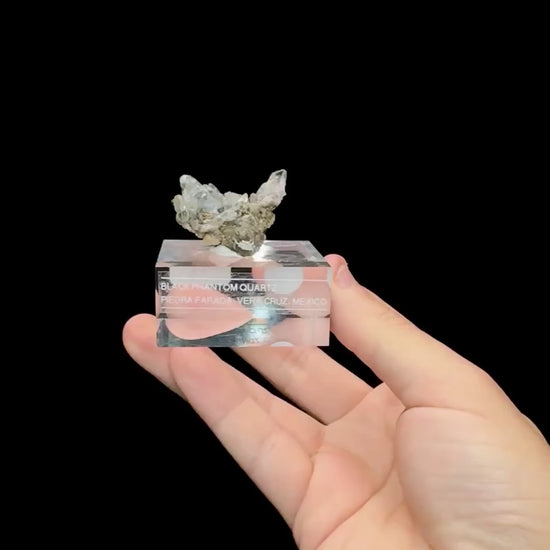 Specimen rotation video 0666