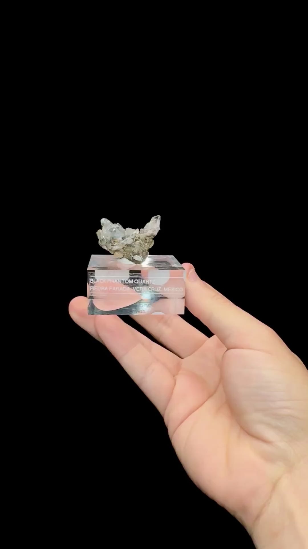 Specimen rotation video 0666
