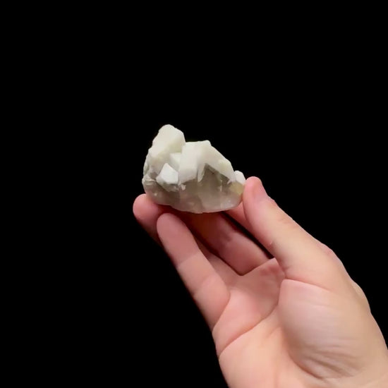 Specimen rotation video 0752