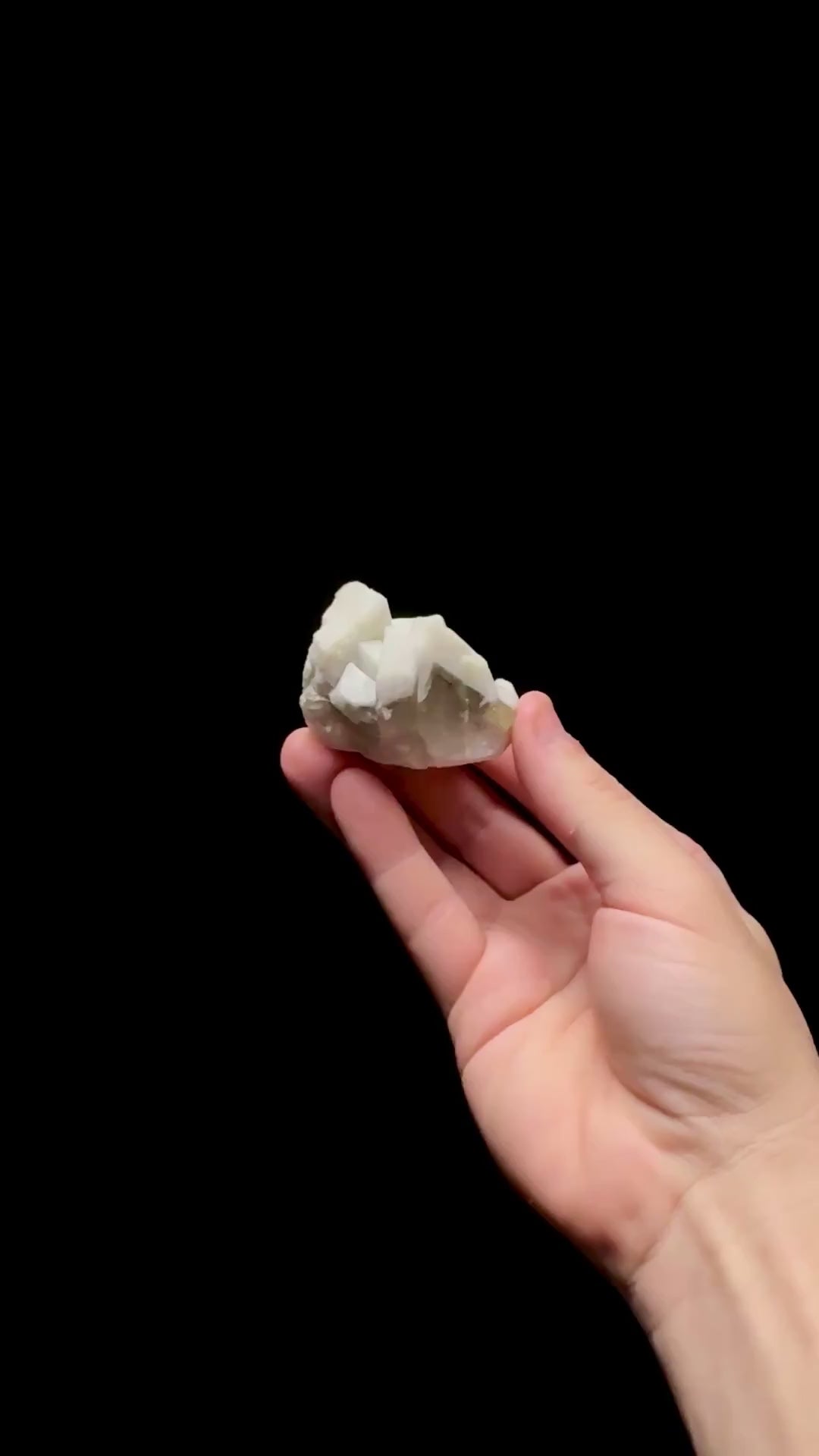 Specimen rotation video 0752