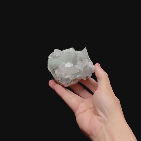 Specimen rotation video 0454