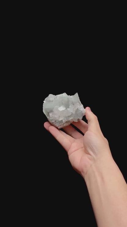 Specimen rotation video 0454