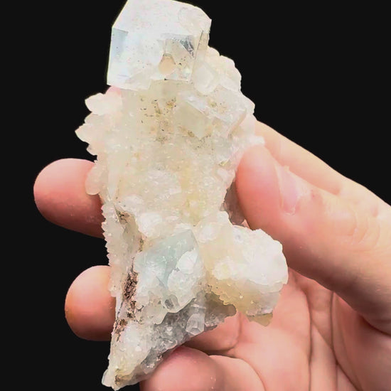 Specimen rotation video 535