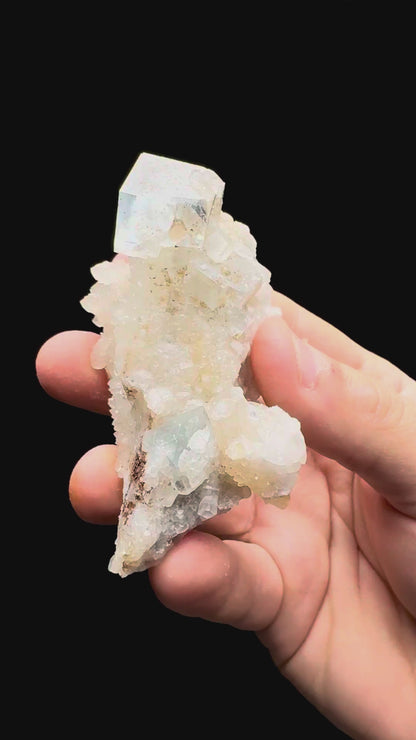 Specimen rotation video 535