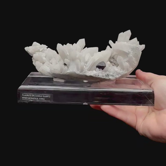 Specimen rotation video 228