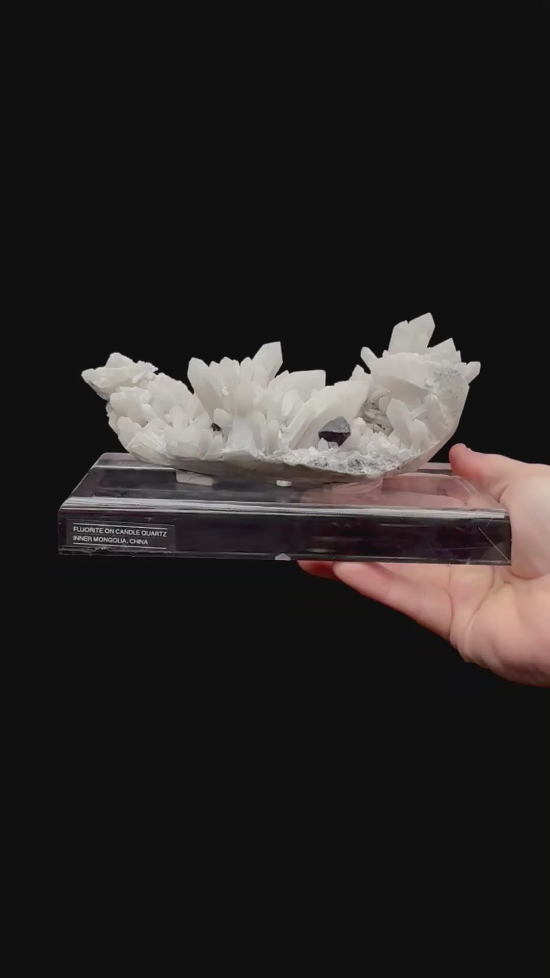 Specimen rotation video 228