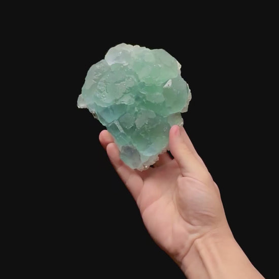 Specimen rotation video 0413