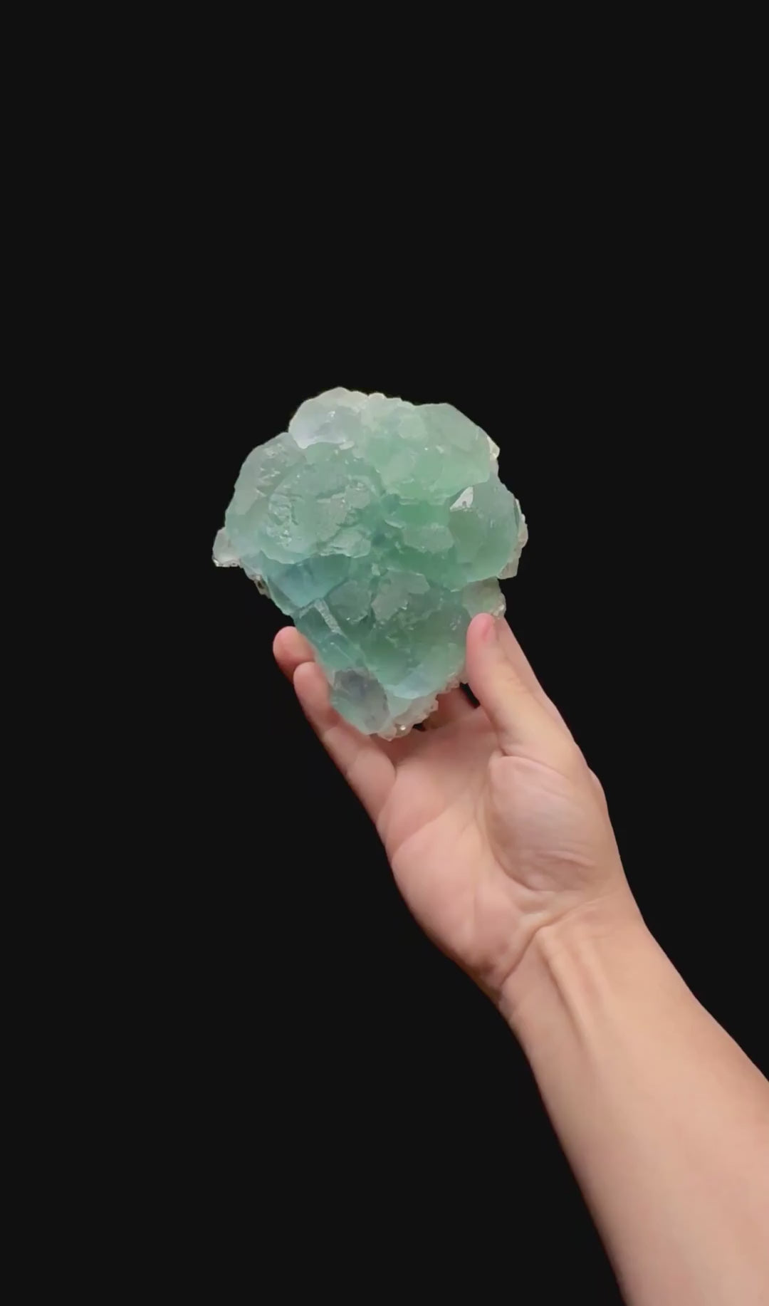 Specimen rotation video 0413