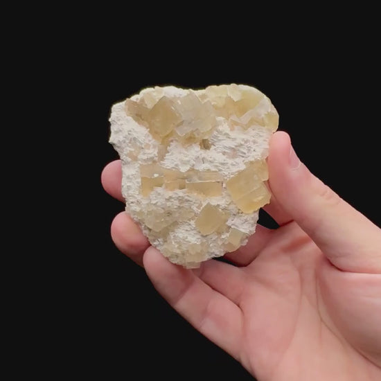 Specimen rotation video 083