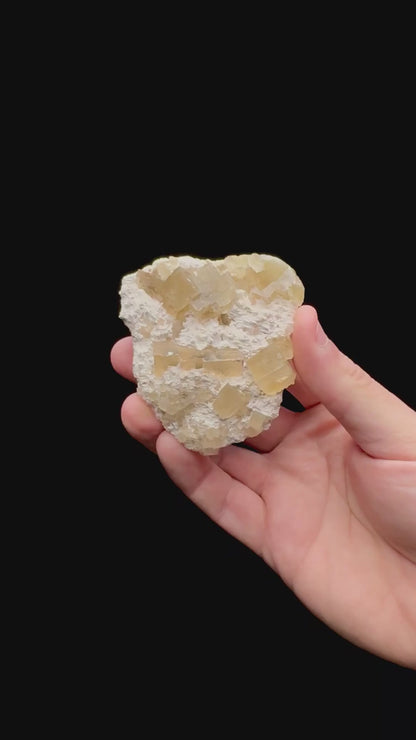 Specimen rotation video 083