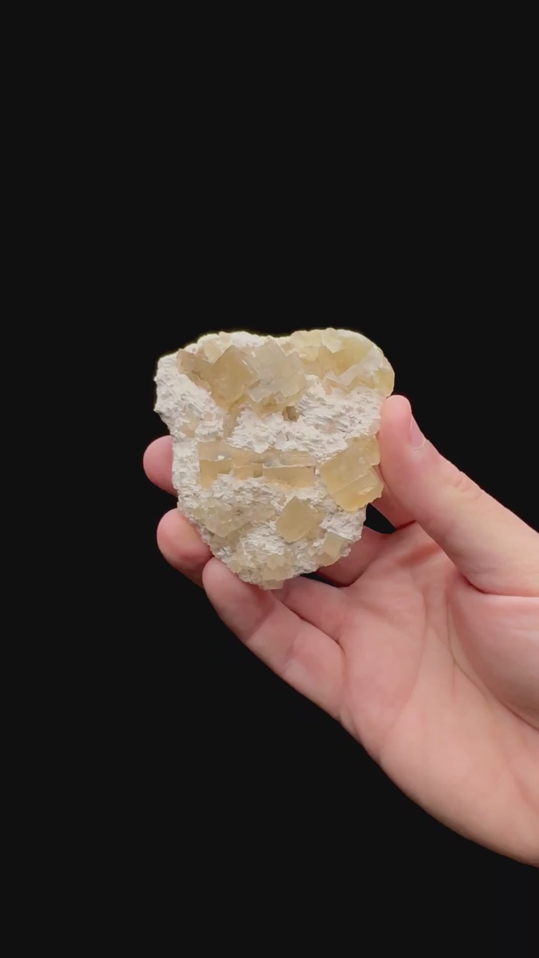 Specimen rotation video 083