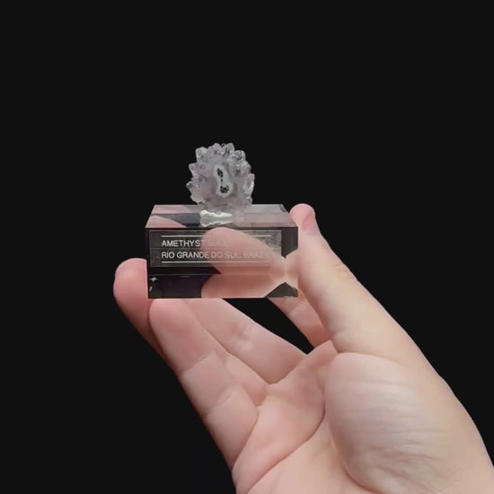 Specimen rotation video 0357