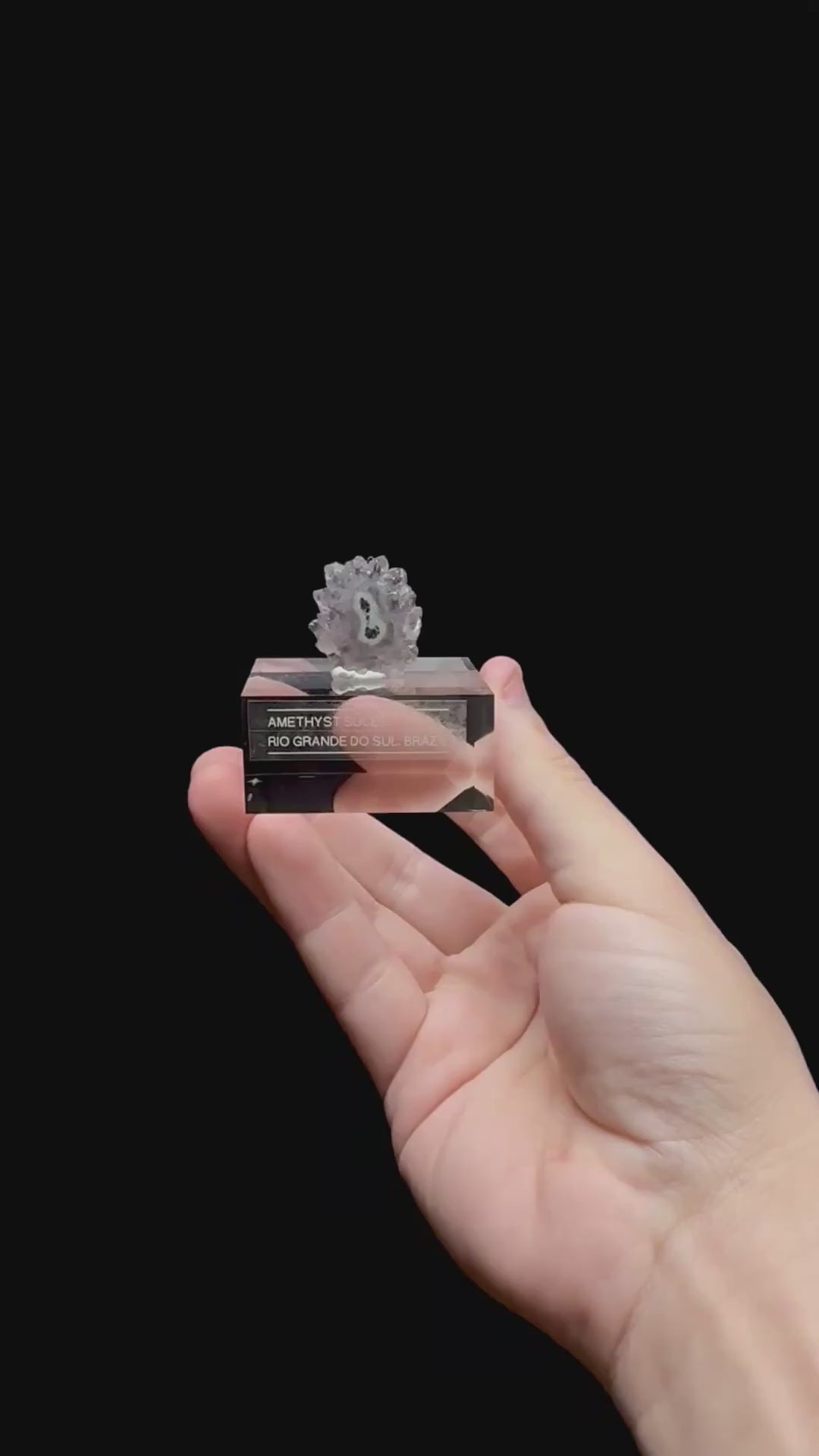 Specimen rotation video 0357