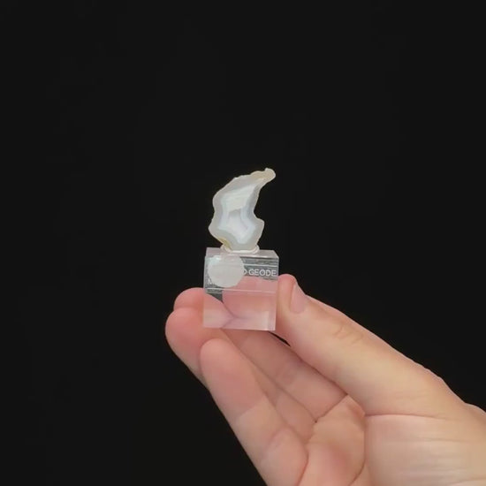 Specimen rotation video 0732