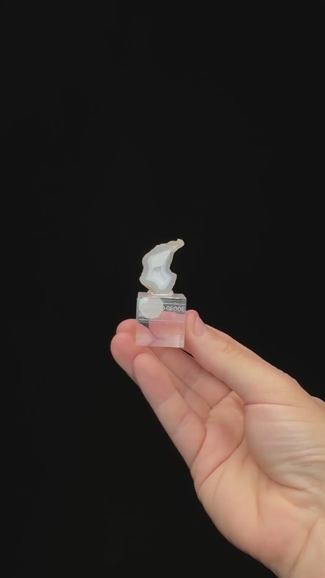 Specimen rotation video 0732