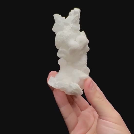 Specimen rotation video 0246