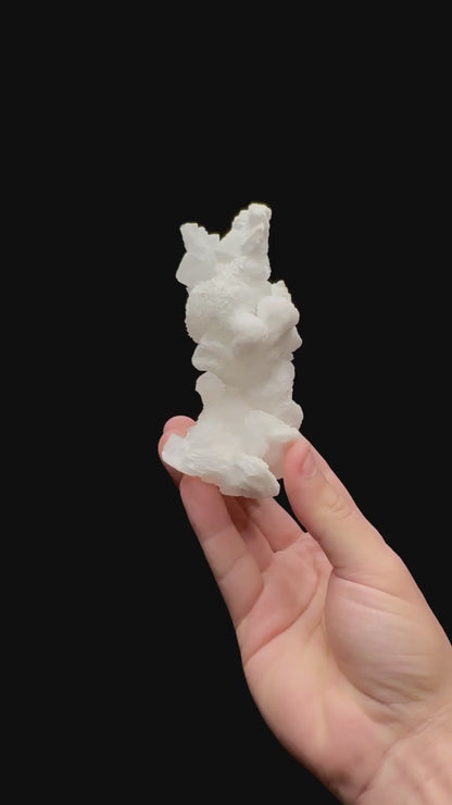 Specimen rotation video 0246